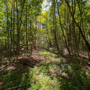Photo of 40.39 Acres of Farm and Hunting Land with Building Lot for Sale in Stokes County NC!