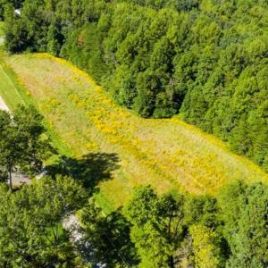 Photo of 37.08 Acres of Farm and Hunting Land for Sale in Stokes County NC!