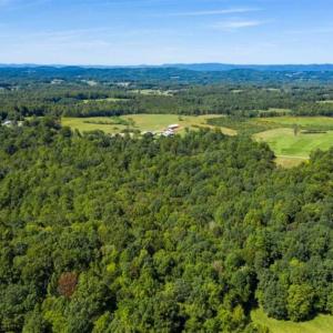 Photo of 37.08 Acres of Farm and Hunting Land for Sale in Stokes County NC!