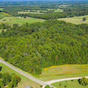 Photo of 37.08 Acres of Farm and Hunting Land for Sale in Stokes County NC!