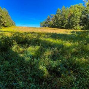 Photo of 37.08 Acres of Farm and Hunting Land for Sale in Stokes County NC!