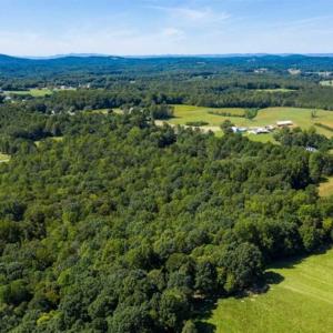 Photo of 37.08 Acres of Farm and Hunting Land for Sale in Stokes County NC!