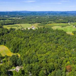 Photo of 37.08 Acres of Farm and Hunting Land for Sale in Stokes County NC!
