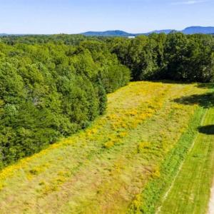 Photo of 37.08 Acres of Farm and Hunting Land for Sale in Stokes County NC!