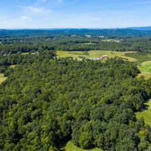 Photo of 37.08 Acres of Farm and Hunting Land for Sale in Stokes County NC!
