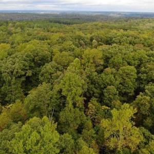 Photo of SOLD!! 95.7 Acres of Timber Land For Sale in Buckingham County VA!