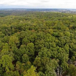 Photo of SOLD!! 95.7 Acres of Timber Land For Sale in Buckingham County VA!