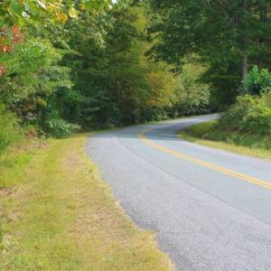 Photo of SOLD!! 95.7 Acres of Timber Land For Sale in Buckingham County VA!