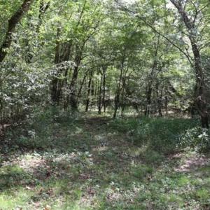 Photo of SOLD!!  6.84 Acres of Hunting and Residential Land For Sale in Caswell County NC!