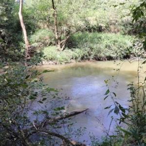 Photo of SOLD!!  6.84 Acres of Hunting and Residential Land For Sale in Caswell County NC!