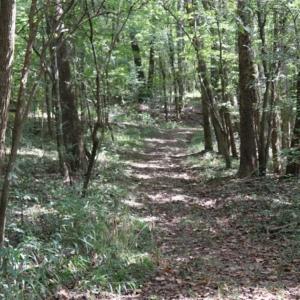 Photo of SOLD!!  6.84 Acres of Hunting and Residential Land For Sale in Caswell County NC!