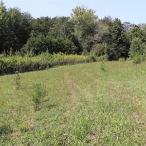 Photo of SOLD!!  6.84 Acres of Hunting and Residential Land For Sale in Caswell County NC!