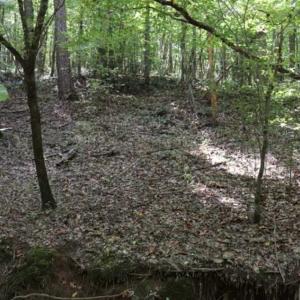 Photo of SOLD!!  6.84 Acres of Hunting and Residential Land For Sale in Caswell County NC!