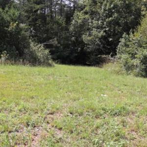 Photo of SOLD!!  6.84 Acres of Hunting and Residential Land For Sale in Caswell County NC!