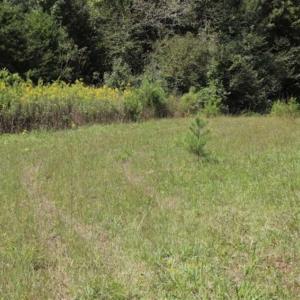 Photo of SOLD!!  6.84 Acres of Hunting and Residential Land For Sale in Caswell County NC!