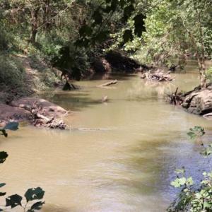 Photo of SOLD!!  6.84 Acres of Hunting and Residential Land For Sale in Caswell County NC!