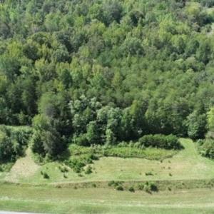 Photo of SOLD!!  6.84 Acres of Hunting and Residential Land For Sale in Caswell County NC!