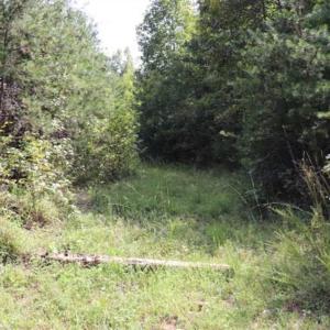 Photo of SOLD!!  6.84 Acres of Hunting and Residential Land For Sale in Caswell County NC!