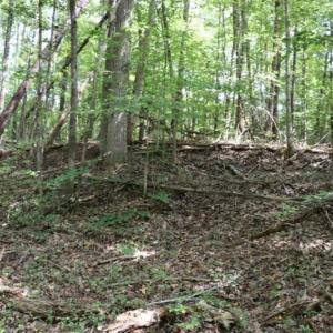 Photo of SOLD!!  6.84 Acres of Hunting and Residential Land For Sale in Caswell County NC!
