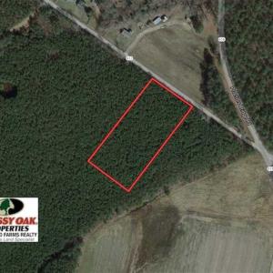 Photo of REDUCED! 3 Acre Building Site For Sale in Southampton County VA!