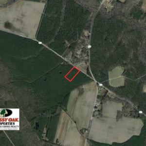 Photo of REDUCED! 3 Acre Building Site For Sale in Southampton County VA!