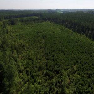 Photo of UNDER CONTRACT!!  45 Acres of Recreational and Hunting Land For Sale in Mecklenburg County VA!