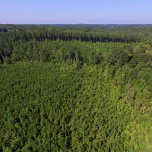 Photo of UNDER CONTRACT!!  45 Acres of Recreational and Hunting Land For Sale in Mecklenburg County VA!