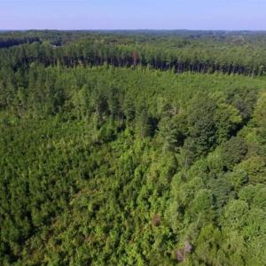 Photo of UNDER CONTRACT!!  45 Acres of Recreational and Hunting Land For Sale in Mecklenburg County VA!