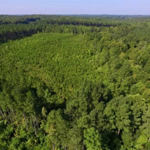 Photo of UNDER CONTRACT!!  45 Acres of Recreational and Hunting Land For Sale in Mecklenburg County VA!