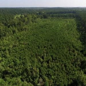 Photo of UNDER CONTRACT!!  45 Acres of Recreational and Hunting Land For Sale in Mecklenburg County VA!