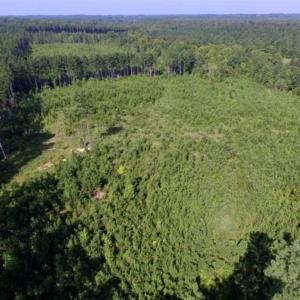 Photo of UNDER CONTRACT!!  45 Acres of Recreational and Hunting Land For Sale in Mecklenburg County VA!