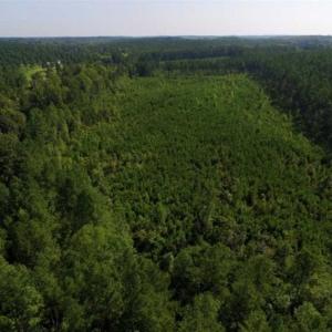 Photo of UNDER CONTRACT!!  45 Acres of Recreational and Hunting Land For Sale in Mecklenburg County VA!