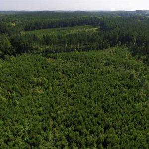 Photo of UNDER CONTRACT!!  45 Acres of Recreational and Hunting Land For Sale in Mecklenburg County VA!