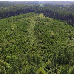 Photo of UNDER CONTRACT!!  45 Acres of Recreational and Hunting Land For Sale in Mecklenburg County VA!