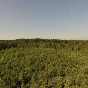 Photo of UNDER CONTRACT!!  45 Acres of Recreational and Hunting Land For Sale in Mecklenburg County VA!