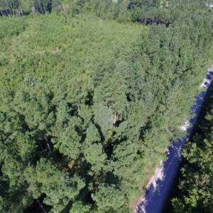 Photo of UNDER CONTRACT!!  45 Acres of Recreational and Hunting Land For Sale in Mecklenburg County VA!