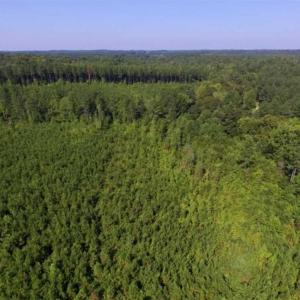 Photo of UNDER CONTRACT!!  45 Acres of Recreational and Hunting Land For Sale in Mecklenburg County VA!