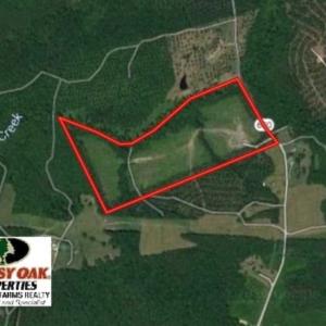Photo of UNDER CONTRACT!!  45 Acres of Recreational and Hunting Land For Sale in Mecklenburg County VA!