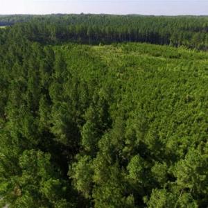 Photo of UNDER CONTRACT!!  45 Acres of Recreational and Hunting Land For Sale in Mecklenburg County VA!