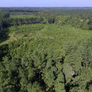 Photo of UNDER CONTRACT!!  45 Acres of Recreational and Hunting Land For Sale in Mecklenburg County VA!