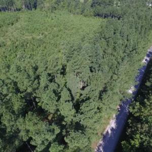 Photo of UNDER CONTRACT!!  45 Acres of Recreational and Hunting Land For Sale in Mecklenburg County VA!