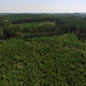 Photo of UNDER CONTRACT!!  45 Acres of Recreational and Hunting Land For Sale in Mecklenburg County VA!