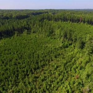 Photo of UNDER CONTRACT!!  45 Acres of Recreational and Hunting Land For Sale in Mecklenburg County VA!