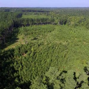 Photo of UNDER CONTRACT!!  45 Acres of Recreational and Hunting Land For Sale in Mecklenburg County VA!