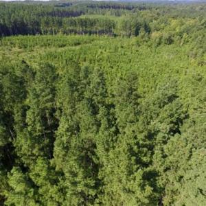 Photo of UNDER CONTRACT!!  45 Acres of Recreational and Hunting Land For Sale in Mecklenburg County VA!