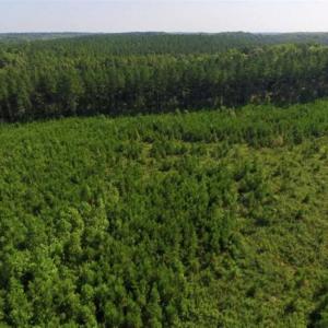 Photo of UNDER CONTRACT!!  45 Acres of Recreational and Hunting Land For Sale in Mecklenburg County VA!