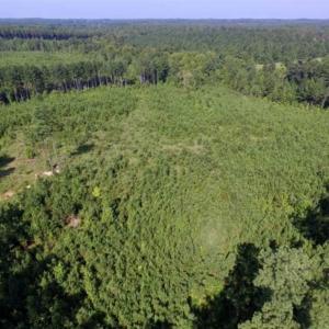 Photo of UNDER CONTRACT!!  45 Acres of Recreational and Hunting Land For Sale in Mecklenburg County VA!