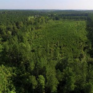 Photo of UNDER CONTRACT!!  45 Acres of Recreational and Hunting Land For Sale in Mecklenburg County VA!