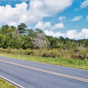 Photo of REDUCED! 17.82 Acres of Hunting Land for Sale in Pamlico County NC!
