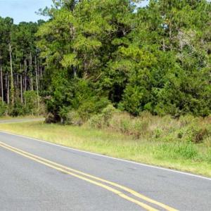 Photo of REDUCED! 17.82 Acres of Hunting Land for Sale in Pamlico County NC!